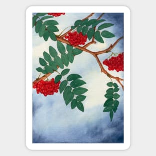 MOUNTAIN ASH LEAVES TREE TREES BLUE SKY SPRING SEASONS Sticker